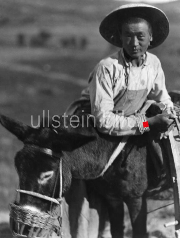 (c) ullstein bild - Heinz von Perckhammer